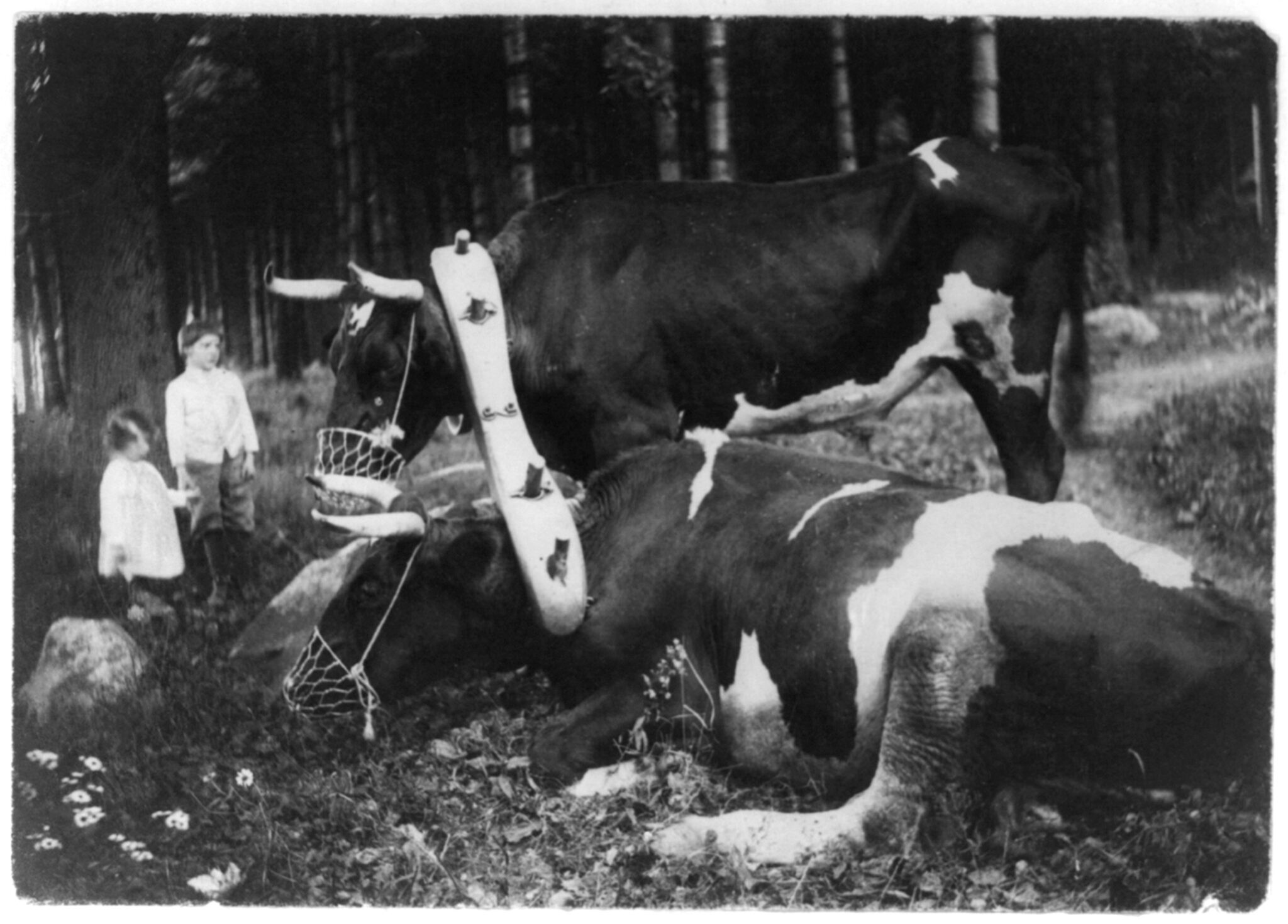 Yoked and Muzzled – Find the Parallel – 1915 – Gertrude Käsebier – Library of Congress